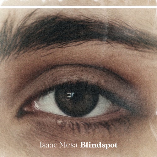 Blindspot