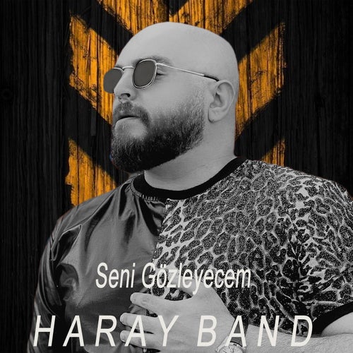 Seni Gözleyecem