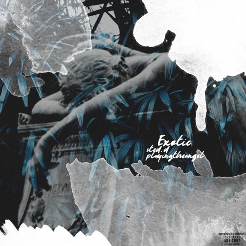 Exotic (feat. Playingtheangel)