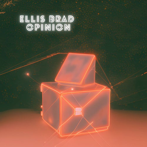 Opinion