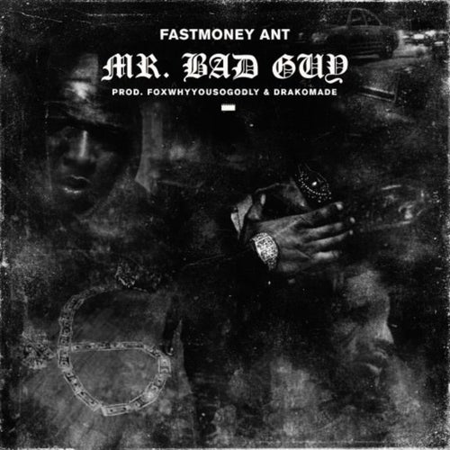 Mr. Bad Guy