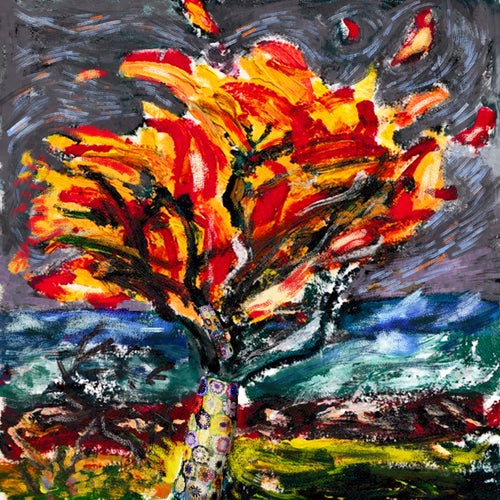 Burning Bush