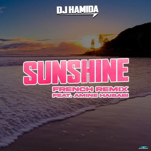 Sunshine (feat. Amine Haibabi) [French Remix]