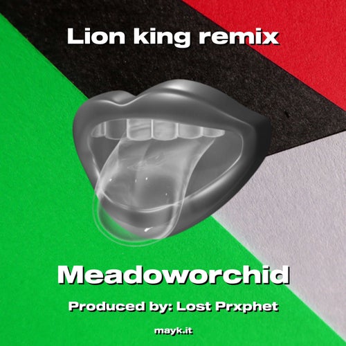 Lion king remix