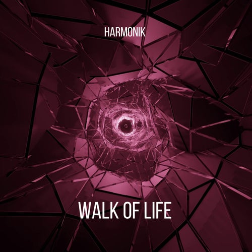 Walk Of Life