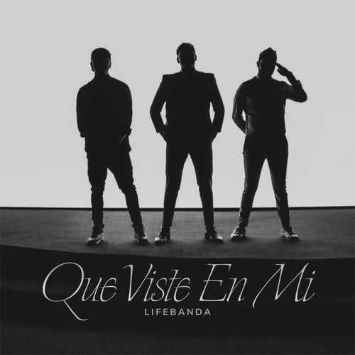 Que Viste en Mi