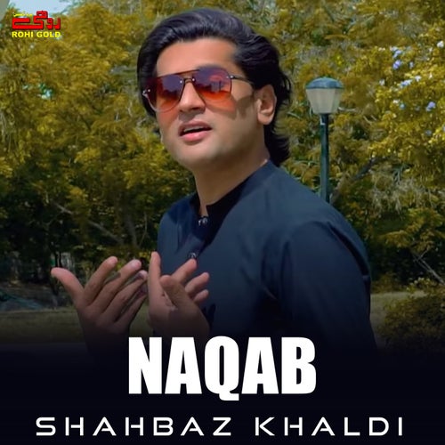 Naqab