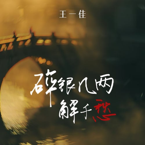 碎銀幾兩解千愁 (DJ豪大大版)