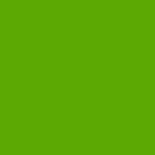 Pokemon LeafGreen