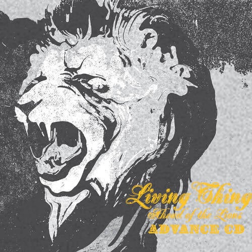 Ahead Of The Lions
