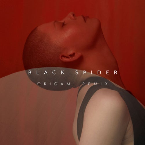 Black Spider