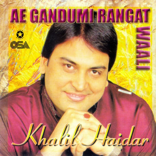 Ae Gandumi Rangat Waali