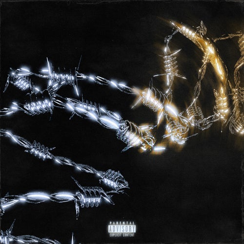 Release of the week