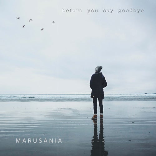 Before You Say Goodbye