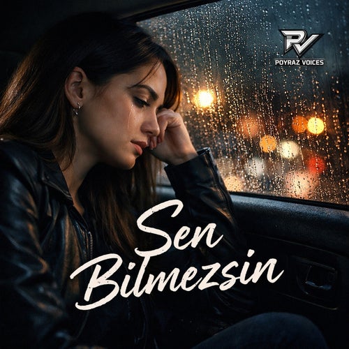 Sen Bilmezsin