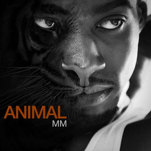 ANIMAUX BY MM