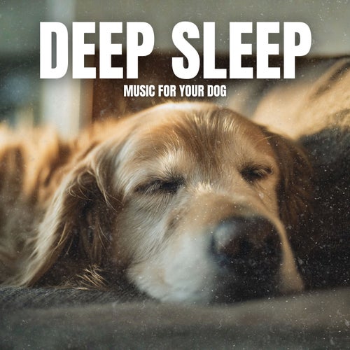 Deep Sleep Music for Your Dog
