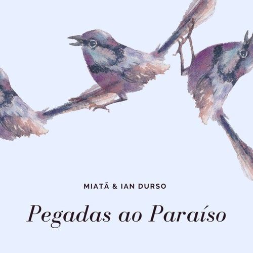 Pegadas Ao Paraíso