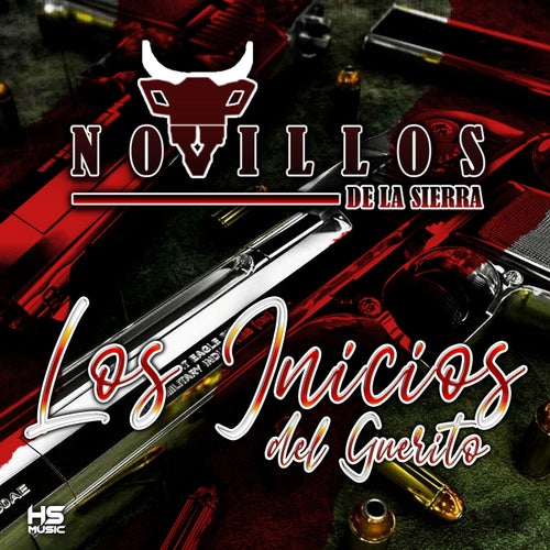 Los Inicios del Guerito