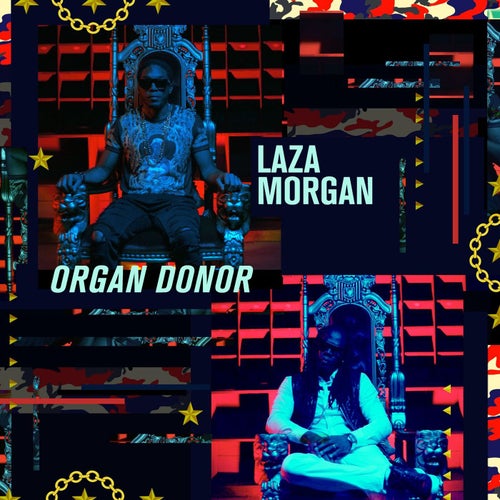 Organ Donor