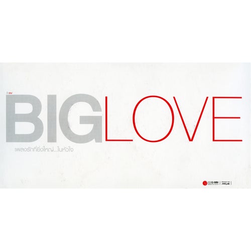 BIG LOVE