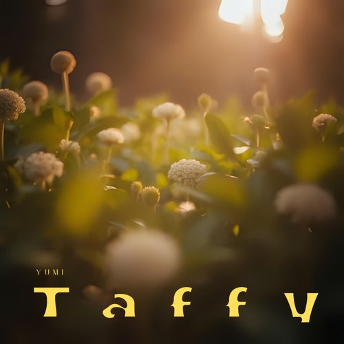 Taffy