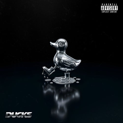 DUCKS