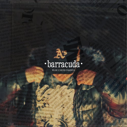 Barracuda
