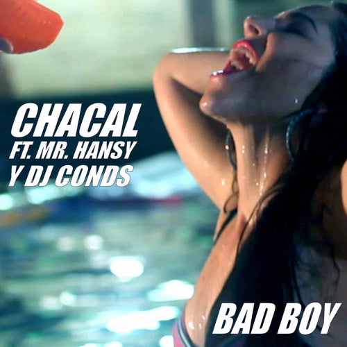 Bad Boy (feat. Mr. Hansy, DJ Conds)
