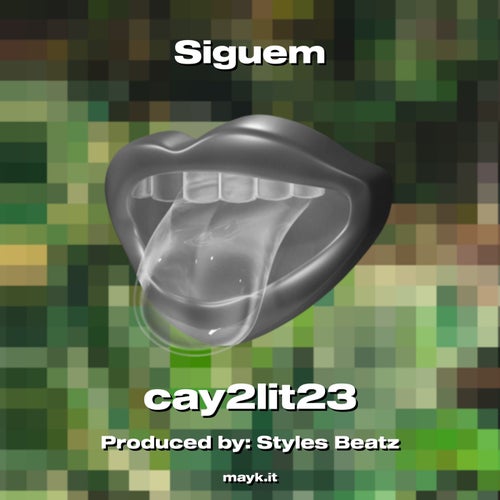 Siguem