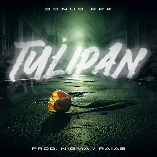 TULIPAN