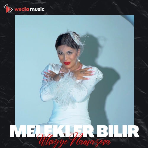 Melekler Bilir