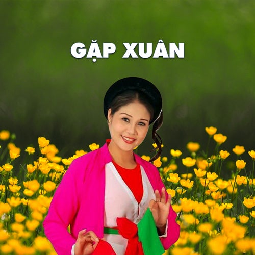 Gặp Xuân