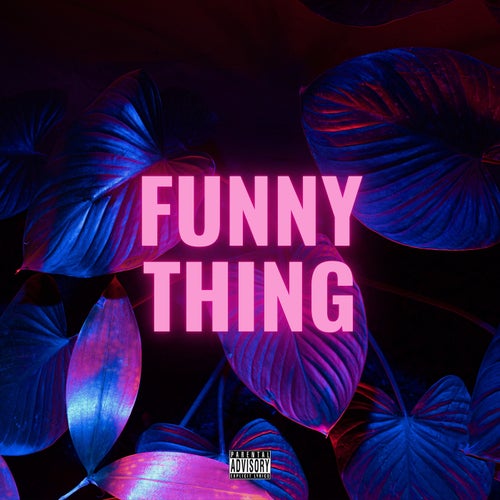 Funny Thing