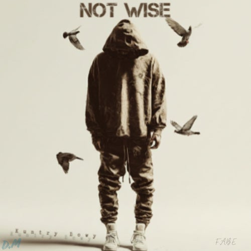 Not Wise (NotNice Diss)
