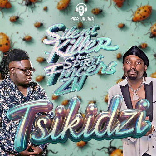 Tsikidzi (feat. Spirit Fingerz ZW)