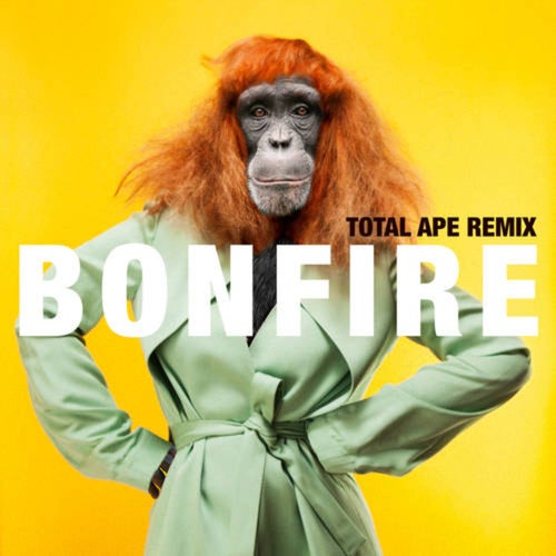 Bonfire