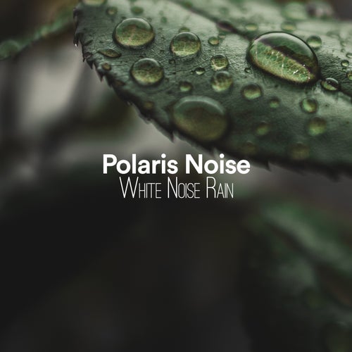 White Noise Rain