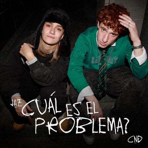 Cuál es el Problema?
