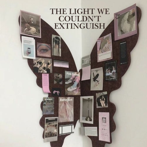 The Light We Couldn't Extinguish
