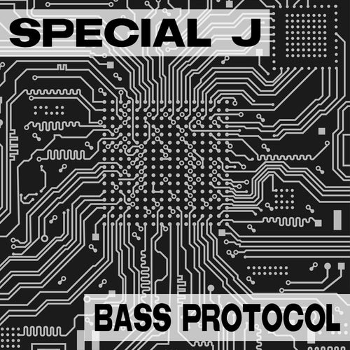 Bass Protocol