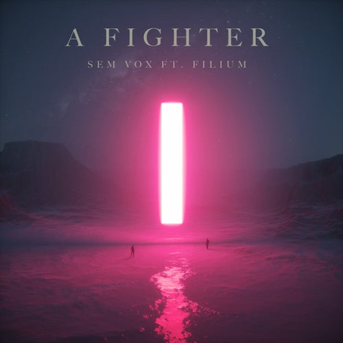 A Fighter