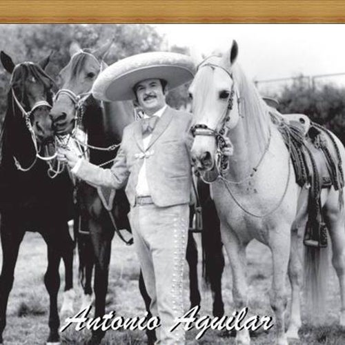 Antonio Aguilar Profile