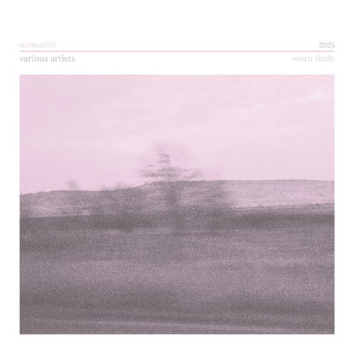 Release of the week