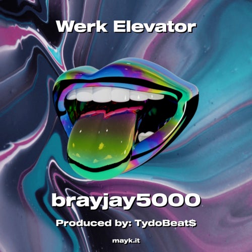 Werk Elevator