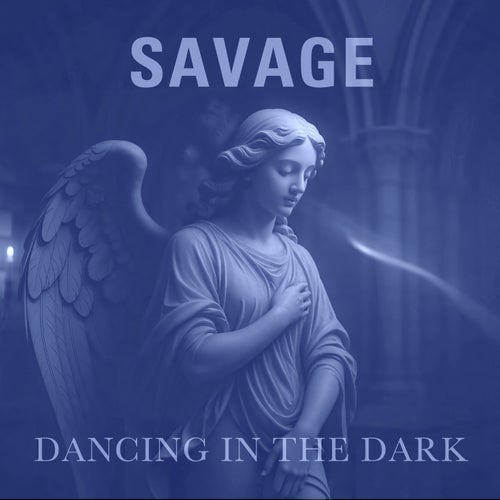 Dancing in the Dark (Remixes)