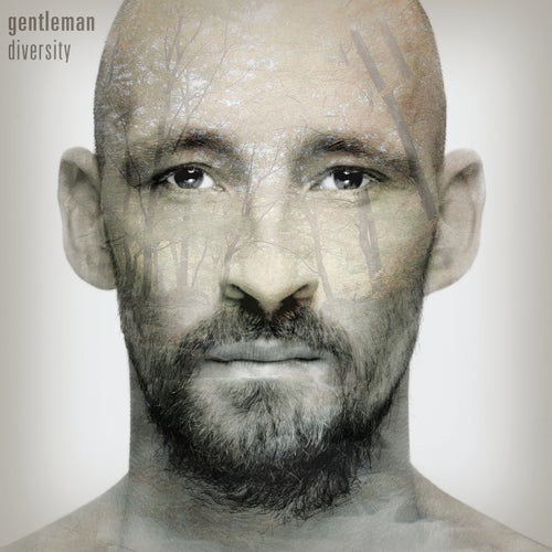 Diversity (Deluxe Bonus Version)