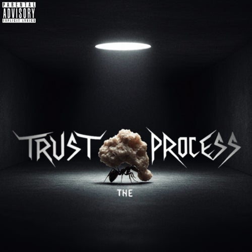 Trust the Process