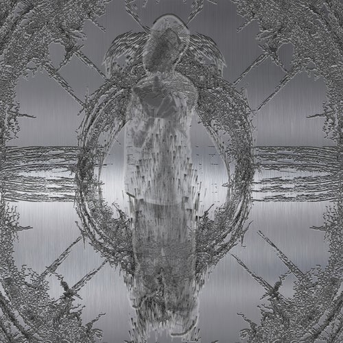 A Rose Without Thorns