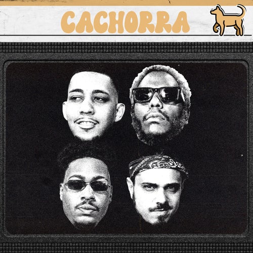 Cachorra